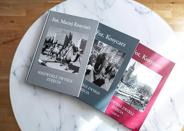 Old Town Vibes Premium Aon